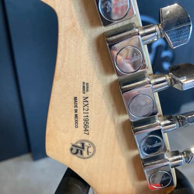 Fender Player Stratocaster with Maple Fretboard 2018 - 2024 - Black image 4
