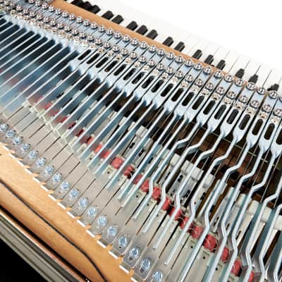 Fender Rhodes Suitcase 1970 Restored by Vintage Vibe image 9
