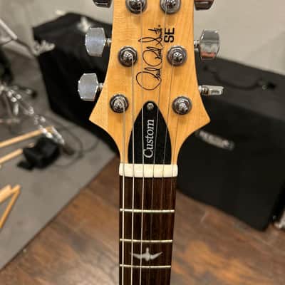 PRS SE 2014 - Green image 2