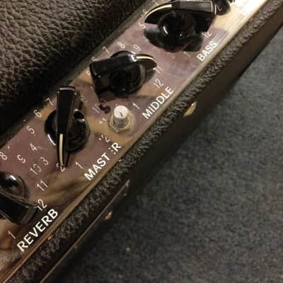 Fender Blues Junior - 20 watts BillM Mods image 3