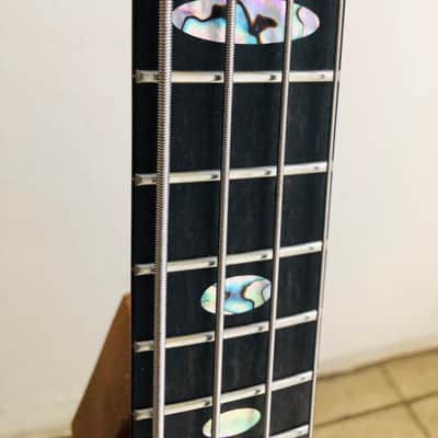 Alembic Alembic Darling Bass Flame Wallnut image 4