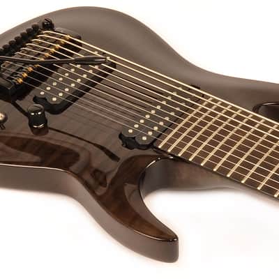Agile 10 String Electric Guitar w/ Kahler Tremolo Interceptor Pro 1030 EB CP Black Flame image 6