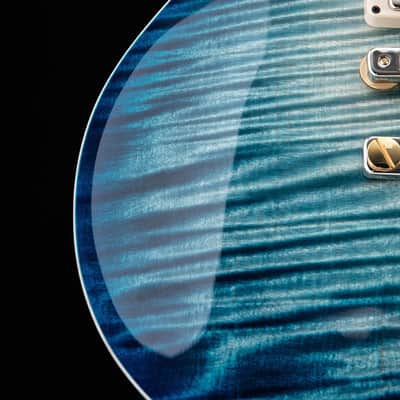 Paul Reed Smith Private Stock Singlecut 594 Walking Zombie Ice Zombie image 8
