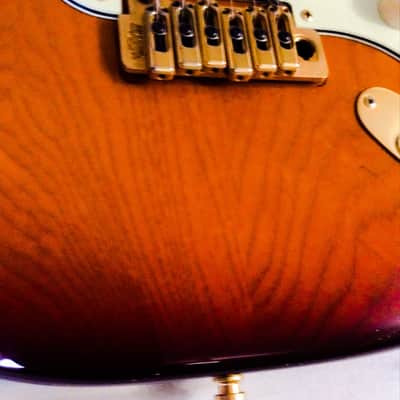 Deviser Y. Momose Masterbuilt Stratocaster image 3