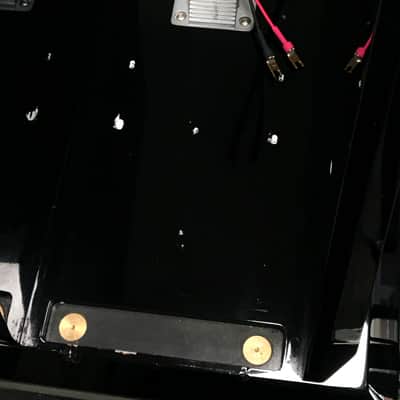 Wilson Audio Maxx Series 2 Towers Speakers (Pair) image 11
