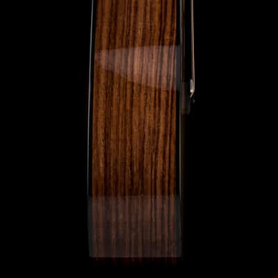 Taylor 210ce Plus #95356 (Demonstration Model) image 6