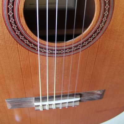 Brand New Cordoba Iberia Series Requinto Nylon String Classical Guitar - B Stock image 5