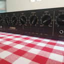 Yamaha E1010 Rack Analog Delay 1980s - Black