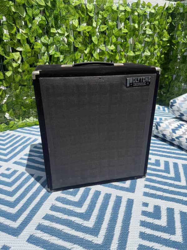 Polytone Mini Brute 3 MINT image 1