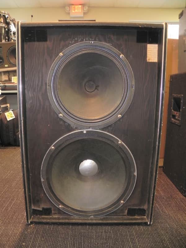 Traynor YT-15 2-Way Bass Cabinet  Black Tolex image 1