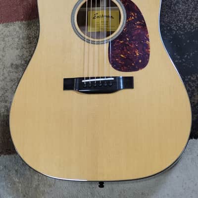 Eastman E1D-Special image 2