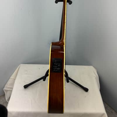 Jay Turser JTAC-50EQ Acoustic-Electric Cutaway Guitar w/ Brand New Great Divide Gig Bag image 8