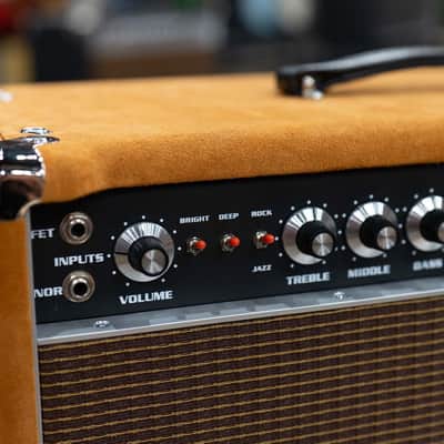 Amplified Nation Six String Sustain 50W Head & 112 Cab – Golden Brown Suede image 4