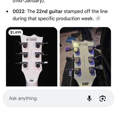 ESP LTD Deluxe 2010 - Silver burst image 25