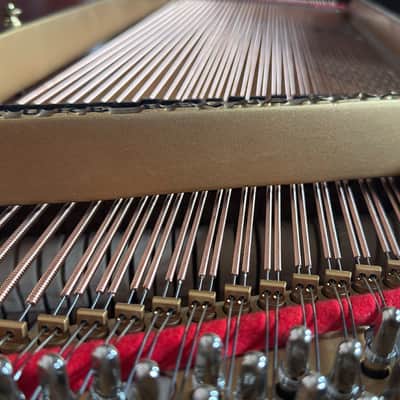 Steinway&Sons M 1916 - Mahogany Satin image 16