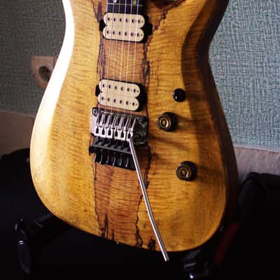 Bakat/Bhakatt Guitar Double Cut 2026 - Satin Polyurethane and oil image 14