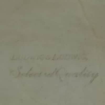 Ludwig & Ludwig 26" Calf "Selected Quality" Bass Drum Head Skin Vintage 20s*EXC* image 2