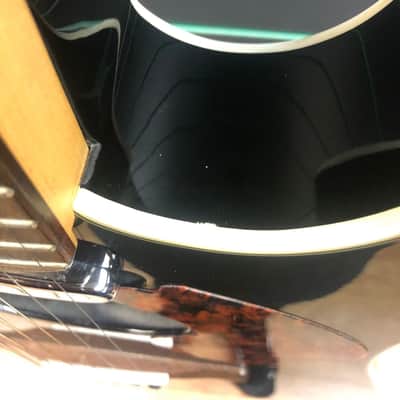 Fender Stratacoustic Deluxe Black 2009 Hybrid Electric/Acoustic Guitar image 5