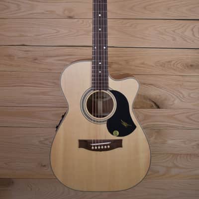 Maton JR Signature 2024 - Tasmanian Myrtle/Spruce image 1