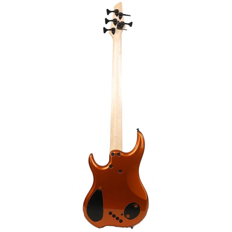 Dingwall Lee Sklar Signature  image 2