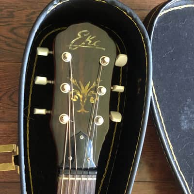 Eko Banjo Guitar Banjitar Made In Italy image 6