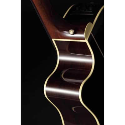 Takamine P5NC P5NC natural satin image 8