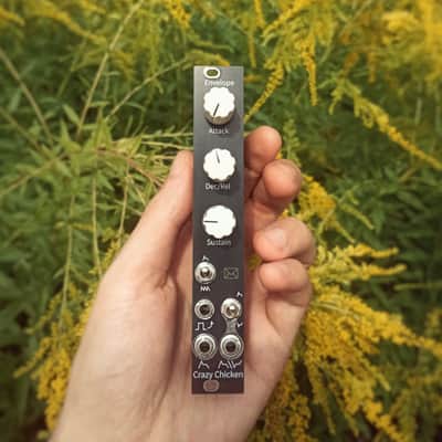 Crazy Chicken's Envelope generator and LFO image 1