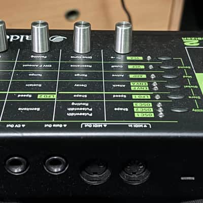 Waldorf Pulse 2 Analog Synthesizer Module 2013 - Present - Black image 4