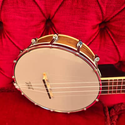 Gold Tone BUT Tenor Banjo Ukulele – Pro Setup – w/ Hard Case - Banjo Ukulele image 4