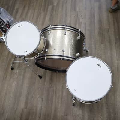 Ludwig Neusonic Pro Beat 3-Piece Shell Pack 13/16/24 (Titanium Super Sparkle) image 10