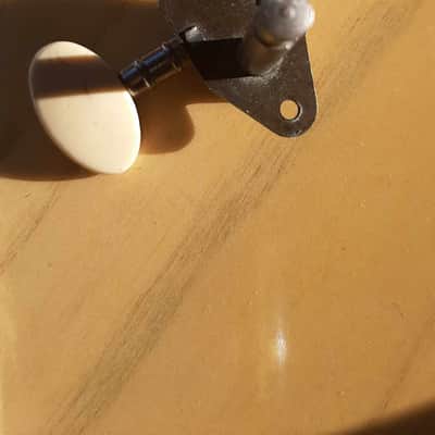 1 Van ghent Tuner White Ovale button knob 60'S . hagstrom. Goya. Gretsch. Guild and Others image 4