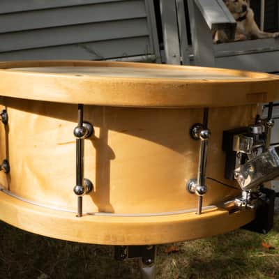 Pacific SX Series w/ Maple Hoop, 5.5x14" 10 lug Snare Drum image 6