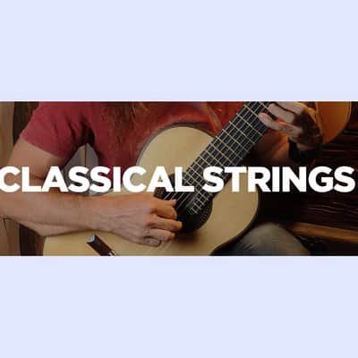 Ernesto Palla Clear 1st Nylon Classical Guitar Single First String E made of nylon monofilament - precision manufactured to most-exacting specs .028" gauge medium tension image 2