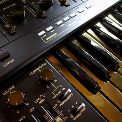 Roland SH-101  black & gold custom by ghostinmpc image 10