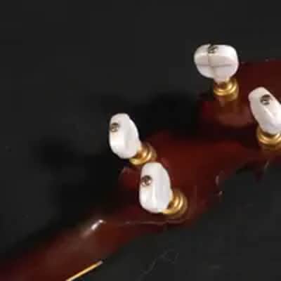 Gibson RB 250 Banjo GOLD PLATTED RB250 1970s - GOLD PLATTED image 12