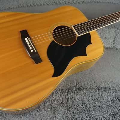 Pearl Folk Acoustic Guitar - Curly Maple - Japan Acoustic Guitar w/ Hard Case image 4