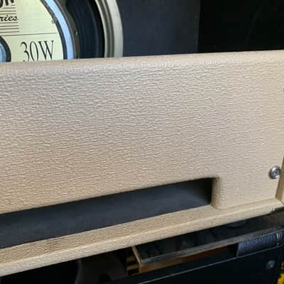 Update! Dr. Z Stang Ray 2007 - Tan/Red image 11