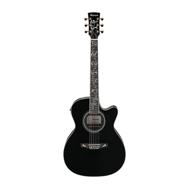 Ibanez AC391RCE Artwood image 1