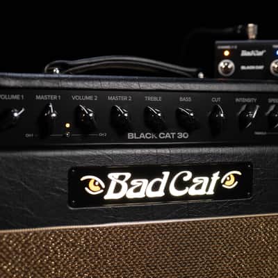 Bad Cat Mod Shop Black Cat 1x12 30W 2-Channel Tube Combo Amp image 6