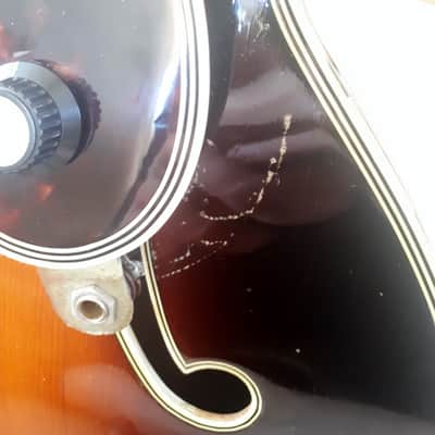 Levin De Luxe 1956 w/Pickup, All Original image 11