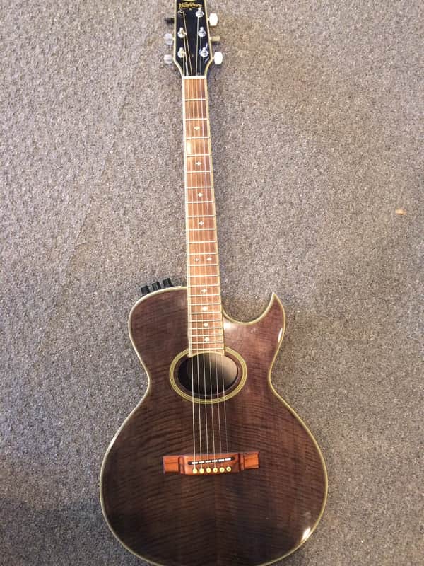 Washburn SBF 80 | Reverb