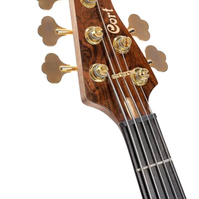 Cort, 5-String Bass Guitar, Right, Natural Glossy, Full (RITHIMICV) image 5