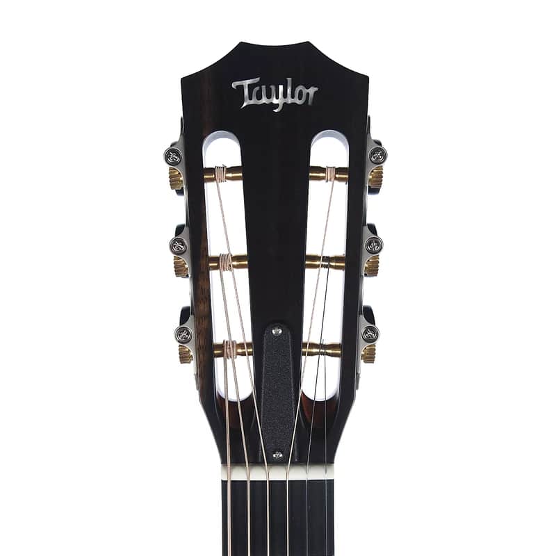 Taylor 322ce 12-Fret Tasmanian Blackwood image 6
