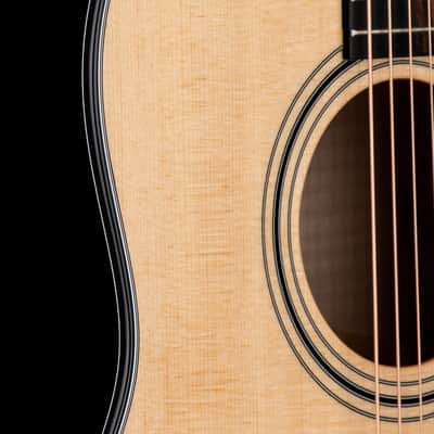 Taylor Custom Shop Select 617e #44102 (NAMM) image 8