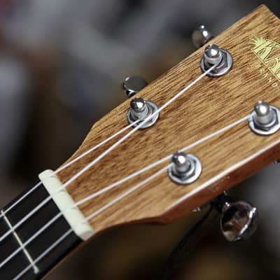 Kala KA-CG Gloss Mahogany Concert Ukulele image 4