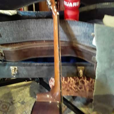Alvarez 5221 12 String Mahogany image 11