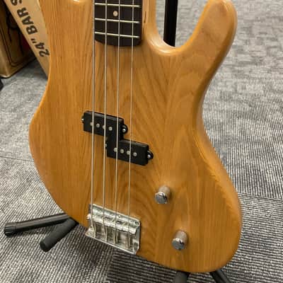 Washburn XB 100 | Reverb