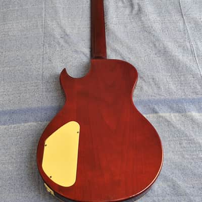 Washburn WP-50 1990 image 6