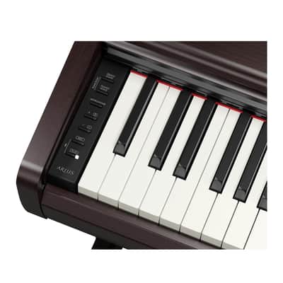Yamaha Arius Series 88-Key Weighted Digital Home Piano with Bench (Rosewood) image 4