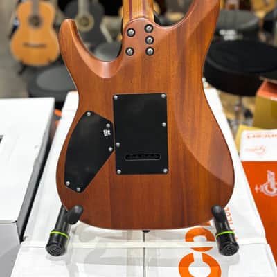 Schecter C-1 Exotic Spalted Maple 2020 - Present - Satin Natural Vintage Burst image 6